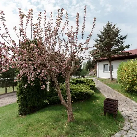 Petrico Camp *