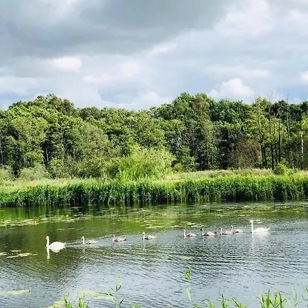 Casa vacanze Petrico Camp *