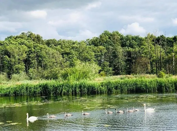 Tatil Evi Petrico Camp *